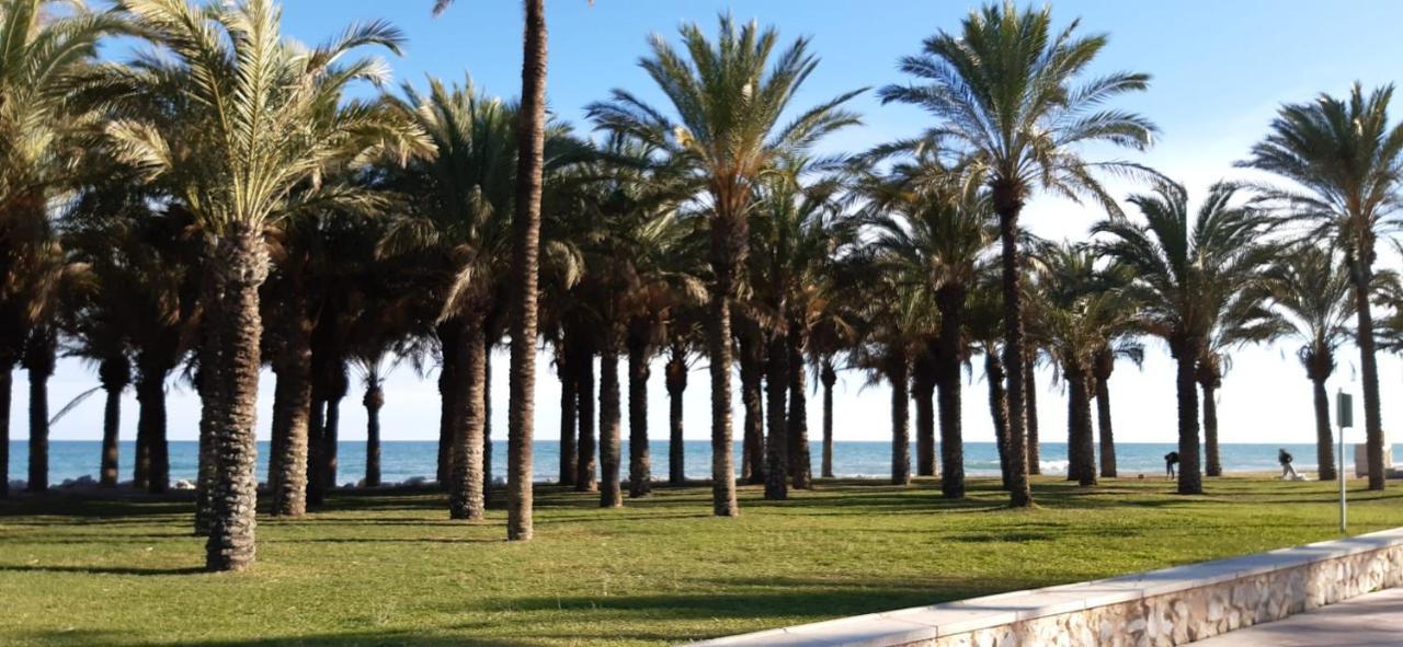 Appartement Flamingo Sol